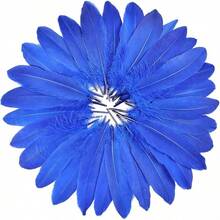 FeelfunFeather 120pcs Navy Blue Goose Feathers 6-8 Inch 15-20cm Decorative Natural Goose Nagoire Bulk Crafts Cosplay Wedding Party Halloween Home Decoration - Xanh đậm - Xem 13