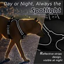 2pcs Reflective Dog Harness And 1.5 Meter Leash Breathable Pet Harness For Large And Small Medium Dogs And Cats Puppy Chest Vest Dog Walking Leash And Harness Set Accessories