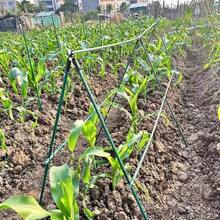 21pcs Garden Support Stake Set, Coated Metal Core, Includes 8 Support Rods, 4 A-Shape Clips, 5 Connectors, 4 Universal Clips, Anti-Corrosive, Easy To Insert, Suitable For Various Plants, Fruits, Vegetables, Essential Garden Climbing Trellis - Army Green - View 7