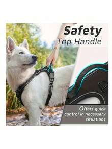 2pcs Reflective Dog Harness And 1.5 Meter Leash Breathable Pet Harness For Large And Small Medium Dogs And Cats Puppy Chest Vest Dog Walking Leash And Harness Set Accessories