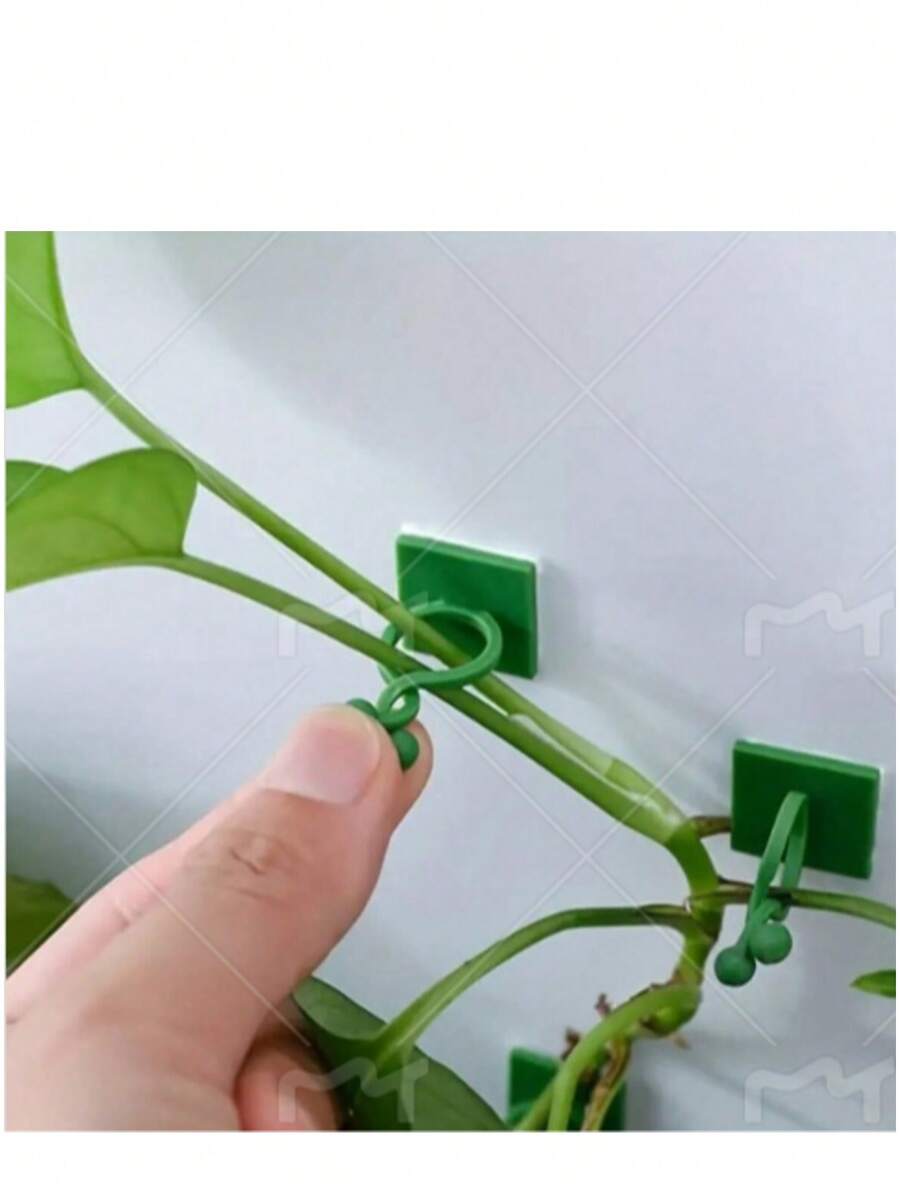 2个植物攀爬墙夹 - 柔性植物支撑支架，自粘式隐形花园棚架，适用于室内/室外植物 - 不对称塑料结构（颜色随机）