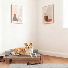 Pet Hammock/Window Perches - Default - View 1