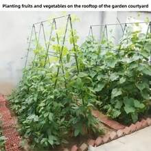 21pcs Garden Support Stake Set, Coated Metal Core, Includes 8 Support Rods, 4 A-Shape Clips, 5 Connectors, 4 Universal Clips, Anti-Corrosive, Easy To Insert, Suitable For Various Plants, Fruits, Vegetables, Essential Garden Climbing Trellis - Army Green - View 11