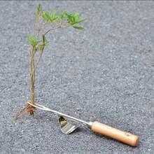 1pc Stainless Steel Manual Weeding Tool, Hand-Operated Root Removal Tool For Dandelions And Weeds, Efficient Gardening Puller For Home, Yard, Lawn, Patio