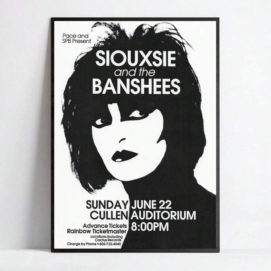 Siouxsie And The Banshees Vintage Punk Canvas Poster - Frameless Wall Art For Living Room, Bedroom, Home Office Decor