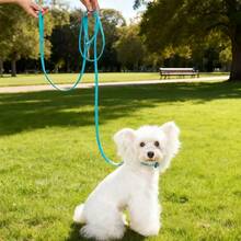 1条牵引绳+1个项圈，四季通用PVC材质防水斜挎宠物牵引绳，高强度免手持牵引绳和项圈套装，易于清洁，适合小型、中型和大型犬。 - 彩色 - 查看 2