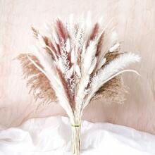 27/38/45/100/110/200 Pcs Artificial Pampas Grass Bohemian Style Dried Flowers Bundle - 50 Stems Pampas Decor, 30 Natural Dried Feather Grass, 120 Natural Bunny Tails For Versatile Rattan Tabletop Decor - Beige - View 16