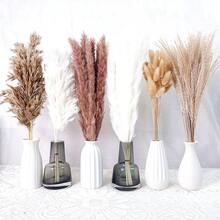 27/38/45/100/110/200 Pcs Artificial Pampas Grass Bohemian Style Dried Flowers Bundle - 50 Stems Pampas Decor, 30 Natural Dried Feather Grass, 120 Natural Bunny Tails For Versatile Rattan Tabletop Decor - Beige - View 33
