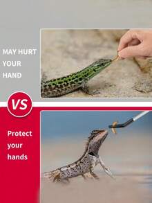 Feeding Tongs Stainless Steel Feeding Clamps Stainless Steel Small Feeding Tongs For Reptiles/Lizards/Spider - Pet Interaction Tool For Aquarium & Craft Use