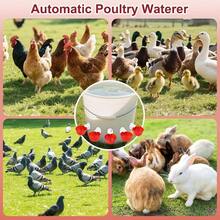 Chicken Waterer Cups, 8 Pack Red Automatics Chicken Waterer, Professional Poultry Cups Suitable Chicks, Duck, Goose, Turkey And Bunny Various Poultry, Compatible With Various Containers - Red + Small - View 6
