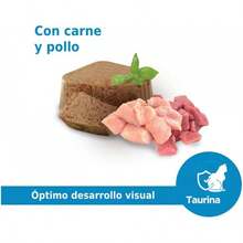 Alimento húmedo Gatitos Paquete de 16 latas, 100 gr.Nos vemos. - 1 - Ver 5