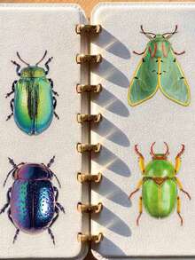 50 piezas/paquete Pegatinas de insectos lindos y coloridos, pegatinas decorativas para scrapbooking, etiquetado, diario, papelería, álbum de fotos, teléfono, diario, planificador