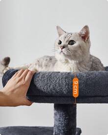 Albero per Gatti, Tiragraffi Piccolo, Grigio Fumo - Grigio fumo - Visualizzare 3