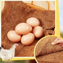 4pcs/6pcs/10pcs 11.8"X11.8" Overseas New Chicken Nest Pad, Coconut Fiber Cushion, Poultry & Pet Nest Liner, Easy To Clean Mat, Replaceable Chicken Nest Pad, Anti-Slip