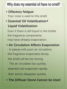 10ml 香薰精油天然精油适用于 DIY 香薰石膏装饰香薰蜡烛香皂加湿器花香精油