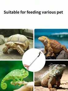 Feeding Tongs Stainless Steel Feeding Clamps Stainless Steel Small Feeding Tongs For Reptiles/Lizards/Spider - Pet Interaction Tool For Aquarium & Craft Use