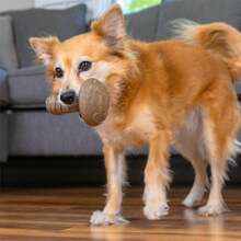 Outward Hound Dogwood Mushroom Durable Dog Chew Toy, Peanut Butter Scent, Medium - 1 - 查看 8