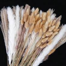 27/38/45/100/110/200 Pcs Artificial Pampas Grass Bohemian Style Dried Flowers Bundle - 50 Stems Pampas Decor, 30 Natural Dried Feather Grass, 120 Natural Bunny Tails For Versatile Rattan Tabletop Decor - Beige - View 1
