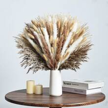 27/38/45/100/110/200 Pcs Artificial Pampas Grass Bohemian Style Dried Flowers Bundle - 50 Stems Pampas Decor, 30 Natural Dried Feather Grass, 120 Natural Bunny Tails For Versatile Rattan Tabletop Decor - Beige - View 23