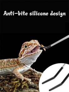 Feeding Tongs Stainless Steel Feeding Clamps Stainless Steel Small Feeding Tongs For Reptiles/Lizards/Spider - Pet Interaction Tool For Aquarium & Craft Use