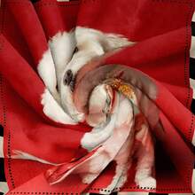 Cobertor Personalizado com Foto e Nome, Cobertor de Estimação Personalizável com Nome e Fotos, Cobertor de Cachorro Macio e Confortável, Presente para Pai de Cachorro, Presente para Amante de Animais de Estimação, Poliéster, Lavável em Máquina, Cobertor de Cachorro Médio