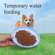 1/2/3/5pcs,Interactive Training Must - Have For Dogs|Pet Flying Disc|Top - Trending Outdoor Pet Toy|Floating, Chew - Resistant & Soft Texture|Perfect For Backyard, Beach & Park Playtime|Fits Small, Medium & Large Dog Breeds - Random Color - View 3
