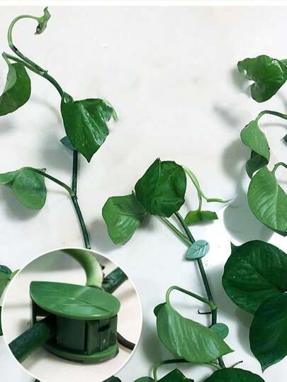 10/20/50/100 件植物攀爬墙固定夹，自粘植物固定钩，植物花园藤蔓装饰固定夹