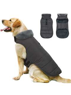Pet Supplies 