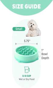Outward Hound Small Fun Feeder Slow Bowl, Puzzle For Fast Eaters, Puppies, Cats &Amp; Small Dogs, Wet Or Dry Food, Helps Prevent Bloat &Amp; Aid Digestion, 3_4 Cup Capacity, Non-Slip, Made Without BPA, Mint - MàuC - Xem 5
