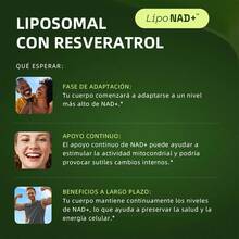 MVPCARE  NAD+ Nicotinamide Riboside 900mg con Resveratrol Reus Research 80 cápsulas: Suplemento antienvejecimiento que combina NAD+ y resveratrol, apoya longevidad celular y energía, ideal para protección antioxidante y revitalización metabólica en adultos mayores. - Otros - Ver 5