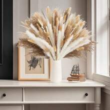 27/38/45/100/110/200 Pcs Artificial Pampas Grass Bohemian Style Dried Flowers Bundle - 50 Stems Pampas Decor, 30 Natural Dried Feather Grass, 120 Natural Bunny Tails For Versatile Rattan Tabletop Decor - Beige - View 29