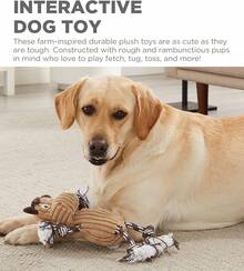 Outward Hound Ranch Roperz Cow Plush Squeaky Dog Toy - Ranch Roperz Horse - View 5