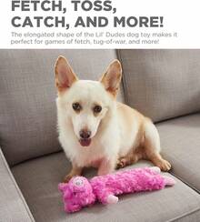 Outward Hound By Charming Pet Cuddle Tugs Pig Plush Interactive Dog Tug Toy - Chú heo con Lil' Dudes - Xem 3