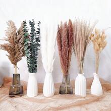 27/38/45/100/110/200 Pcs Artificial Pampas Grass Bohemian Style Dried Flowers Bundle - 50 Stems Pampas Decor, 30 Natural Dried Feather Grass, 120 Natural Bunny Tails For Versatile Rattan Tabletop Decor - Beige - View 20