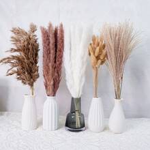 27/38/45/100/110/200 Pcs Artificial Pampas Grass Bohemian Style Dried Flowers Bundle - 50 Stems Pampas Decor, 30 Natural Dried Feather Grass, 120 Natural Bunny Tails For Versatile Rattan Tabletop Decor - Beige - View 36
