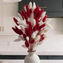 Dried Plants - 紅色 - 查看 1