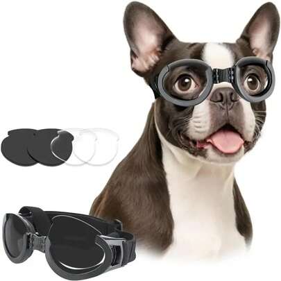 My Dog Loves Wearing Goggles To Stick His Head Out Of The Window, Pet Security, Dog Glasses, Lively Design, Fashionable Pet Equipment, Durable Material, Plaid Fit, Window Seat, Dog Glasses Bracket
