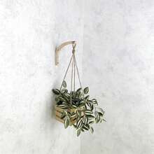 2/4Pcs Set Modern Wooden Hooks, Wooden Wall Hooks, Wooden Pet Leash Hanging Hooks, Wooden Clothes Bathroom Hangers, Indoor Plant Holders, Home Wall Decoration, Wall Hooks