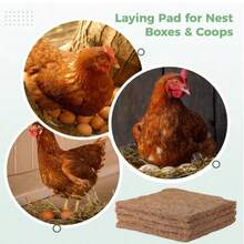 4pcs/6pcs/10pcs 11.8"X11.8" Overseas New Chicken Nest Pad, Coconut Fiber Cushion, Poultry & Pet Nest Liner, Easy To Clean Mat, Replaceable Chicken Nest Pad, Anti-Slip