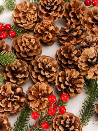 10/30/50 件什锦松果套装，适用于手工制作和家居装饰 - 感恩节、圣诞节、婚礼的理想选择 | 天然木材材料，各种尺寸和形状，木制工艺品天然散装圣诞松果用于家庭派对装饰，圣诞树秋季装饰品圣诞节乡村松果散装装饰品用于圣诞节感恩节秋季派对工艺装饰