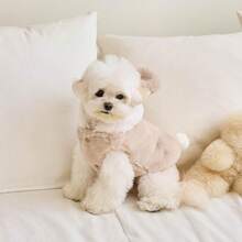 1 件秋冬宠物狗/猫保暖夹克、熊形变身背心、带牵引绳的宠物服装