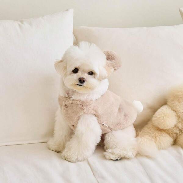 1 szt. Jesienno-zimowa ciepła kurtka dla psa/kota, kamizelka z szelkami w kształcie misia, z dołączoną smyczą