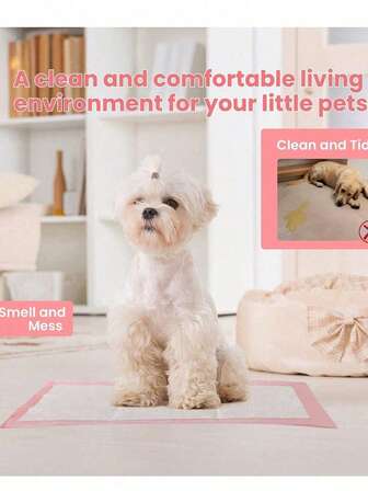 20/40 piezas Almohadillas de orina para mascotas con absorción de olores ligeros, pañales para cachorros, gatos, golden retriever, labrador y otras mascotas. Adecuado para entrenamiento de mascotas, uso en el baño de mascotas, suministros para mascotas, almohadillas de orina para mascotas
