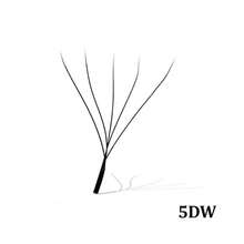 Lashine 12 Reihen YY 3D 4D 5DW Typ 0,07 mm Wimpern 2D 3D 4D 5D 6D W Vorgeformte Fächerwimpern 0,07 C/D Krümmung Natürlich Weich Hochwertige Einzelwimpern - D - Übersicht 41