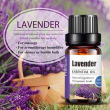 3 Stücke 10ml/0,33 fl.Oz Aromatherapie Reine Ätherische Öle Wellness Natürliche Zutaten Pflanze Fügt Reichhaltigen Dicken Aroma Duft Premium Düfte für Diffuser, Erweiterte Duftstein, Luftbefeuchter Geschenk Eukalyptus Zitrone Nelke Vanille Ingwer Kamille Rosmarin Lavendel