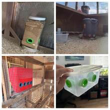 3D Print Quail & Chick Feeder Port With Threads For Secure Hold | Food Saver | Bird Feeder Attatchment | Various Sizes | DIY Projects | Chick Feed Saver | 1.5 Inch
