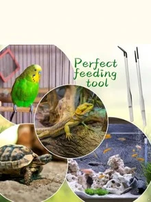 Feeding Tongs Stainless Steel Feeding Clamps Stainless Steel Small Feeding Tongs For Reptiles/Lizards/Spider - Pet Interaction Tool For Aquarium & Craft Use