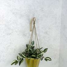 2/4Pcs Set Modern Wooden Hooks, Wooden Wall Hooks, Wooden Pet Leash Hanging Hooks, Wooden Clothes Bathroom Hangers, Indoor Plant Holders, Home Wall Decoration, Wall Hooks