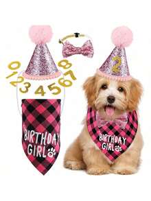 1 套宠物生日庆祝套装，包括头巾、生日帽、横幅、公母宠物领结、宠物生日派对用品 - 淺粉色 - 查看 13