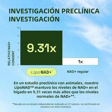 MVPCARE  NAD+ Nicotinamide Riboside 900mg con Resveratrol Reus Research 80 cápsulas: Suplemento antienvejecimiento que combina NAD+ y resveratrol, apoya longevidad celular y energía, ideal para protección antioxidante y revitalización metabólica en adultos mayores. - Otros - Ver 7